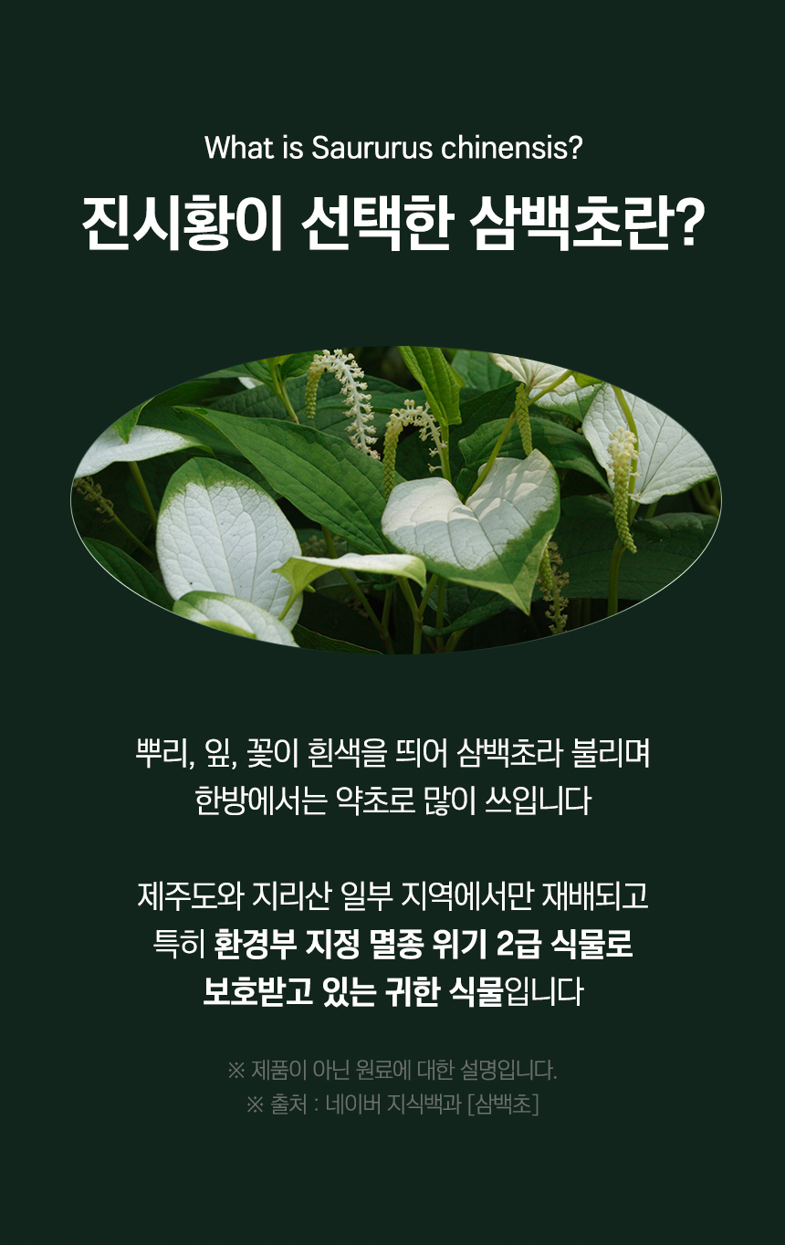 루트오리진 Class 1000 클린룸 타블렛 제조공정